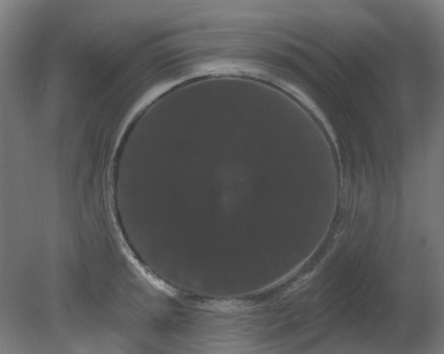 X0000080771045200701122050
