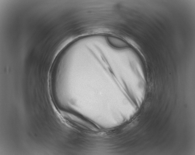 X0000080771047200701122050