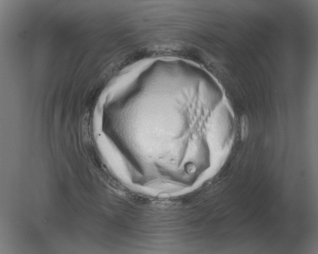 X0000080771059200701122049