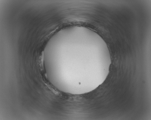 X0000080771061200701122049