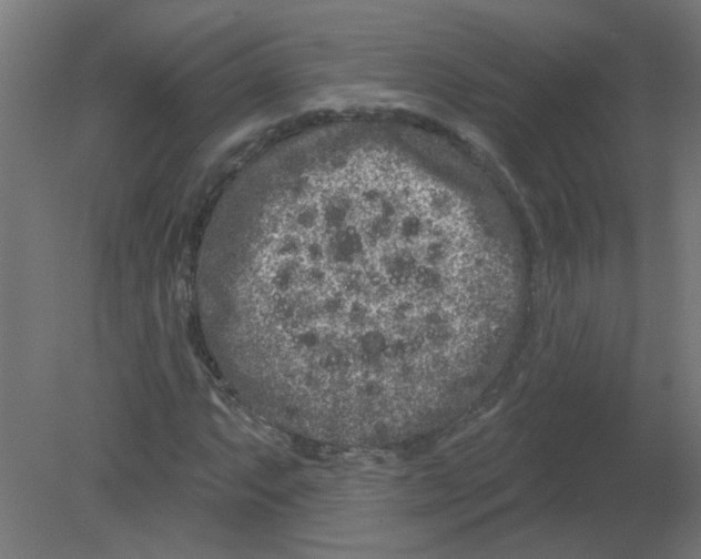 X0000080771063200701122049