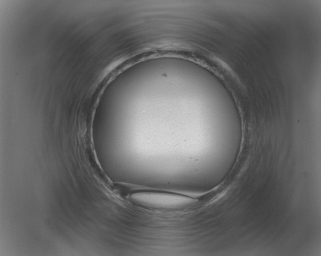 X0000080771065200701122049