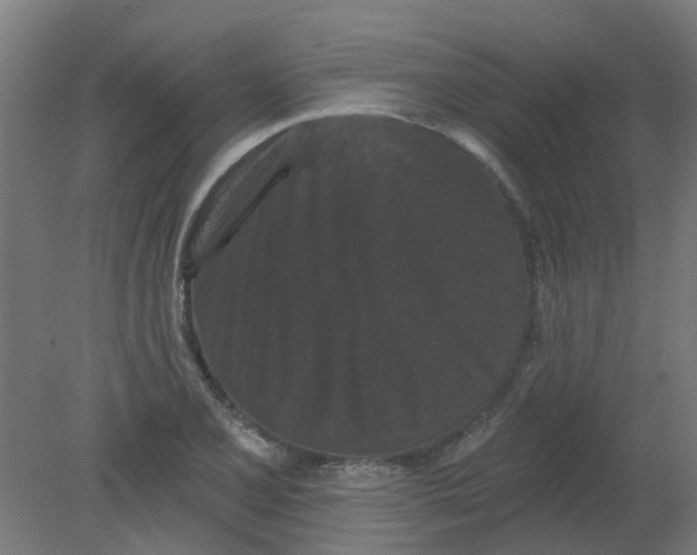 X0000080771077200701122049