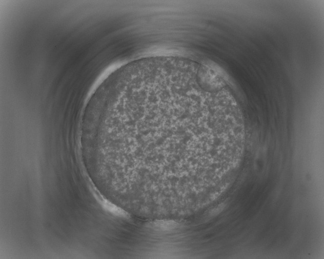 X0000080771094200701122049