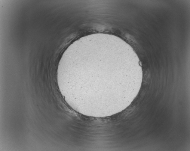X0000080771105200701122048