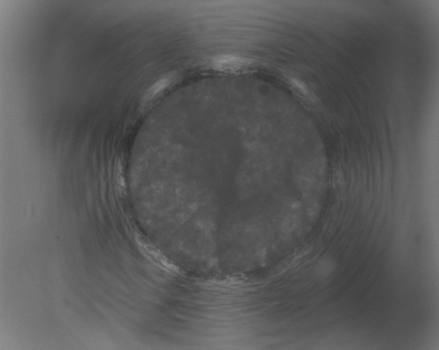 X0000080771106200701122048