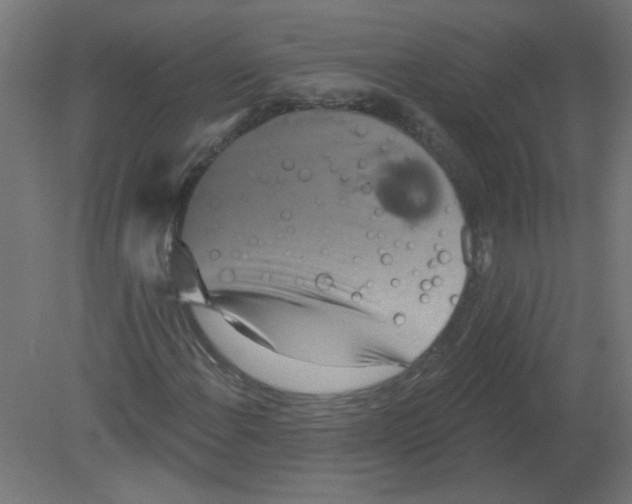 X0000080771108200701122048