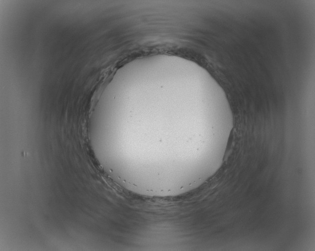 X0000080771109200701122048