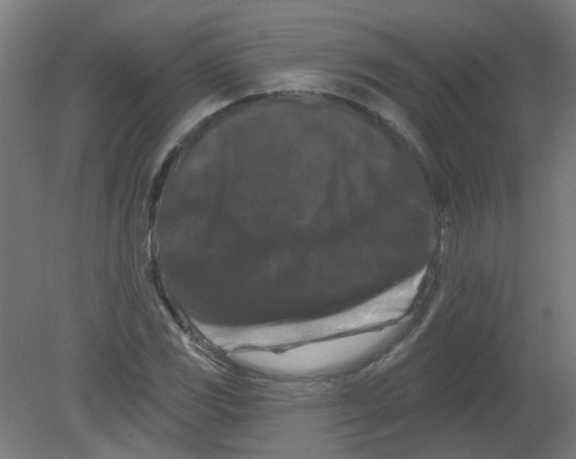 X0000080771117200701122048