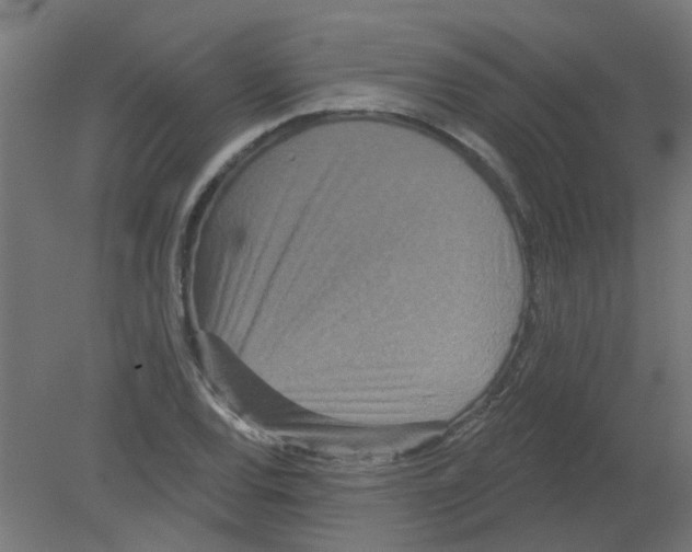 X0000080771120200701122048