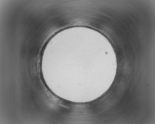 X0000080771126200701122048