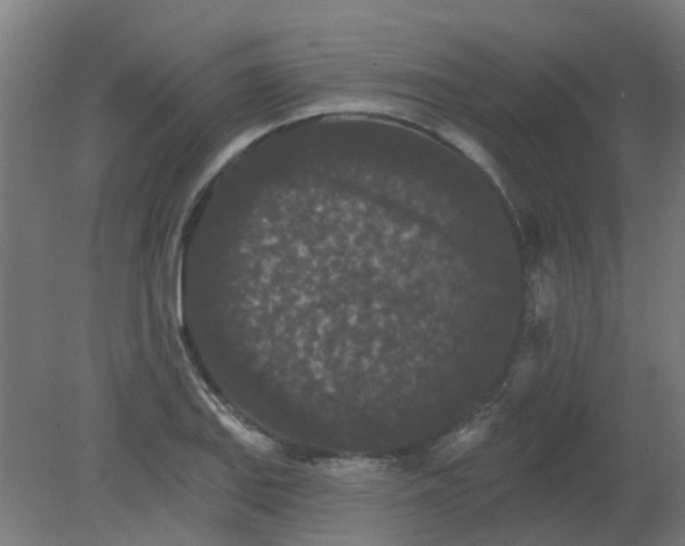 X0000080771127200701122048