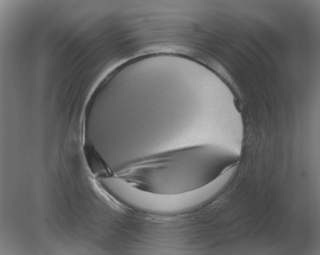 X0000080771132200701122048