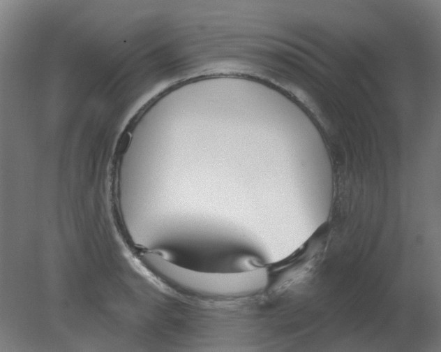 X0000080771134200701122048