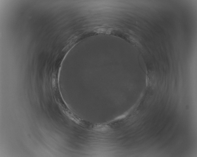 X0000080771154200701122048