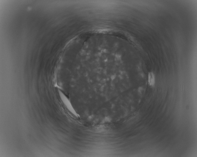 X0000080771155200701122048