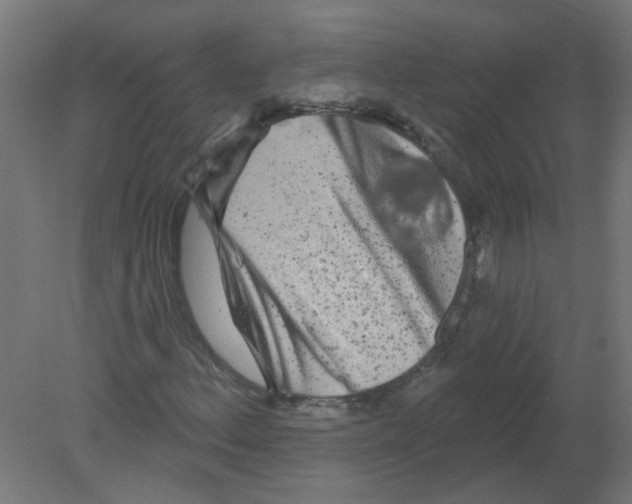 X0000080771156200701122048