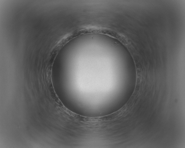 X0000080771157200701122048