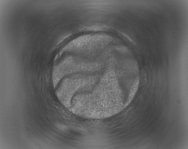 X0000080771158200701122048