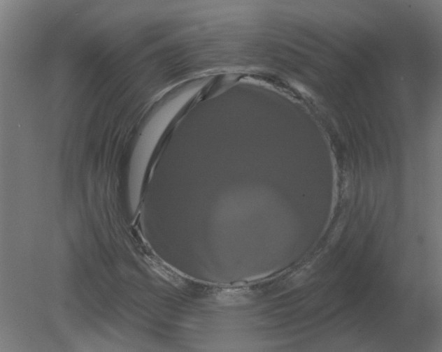 X0000080771161200701122048
