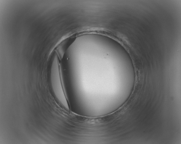 X0000080771165200701122048