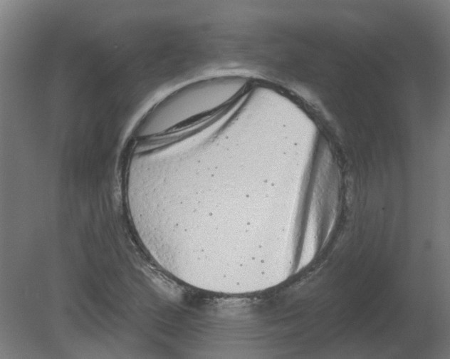 X0000080771167200701122048