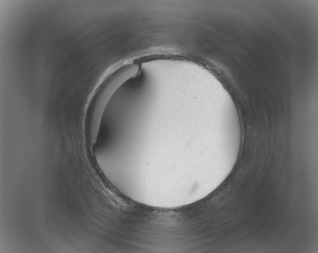 X0000080771168200701122048