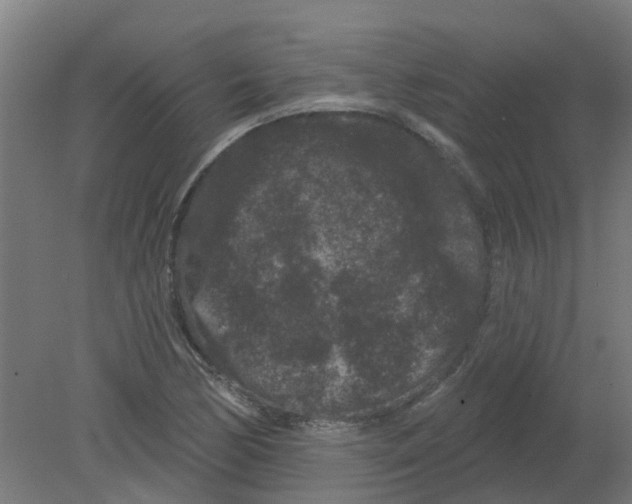 X0000080771170200701122048