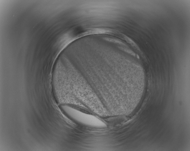 X0000080771178200701122047