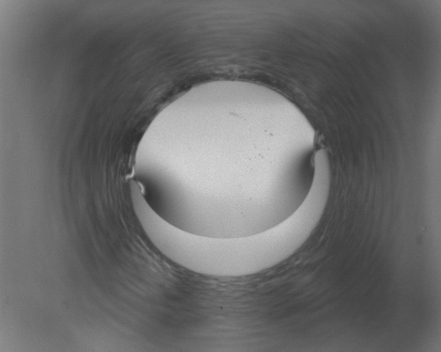 X0000080771202200701122046