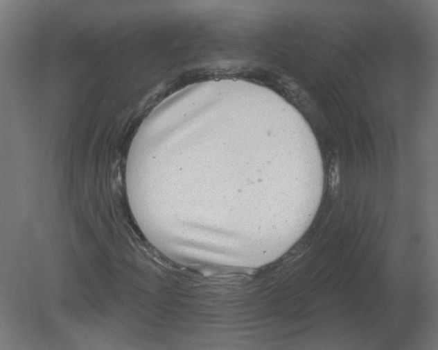 X0000080771204200701122046