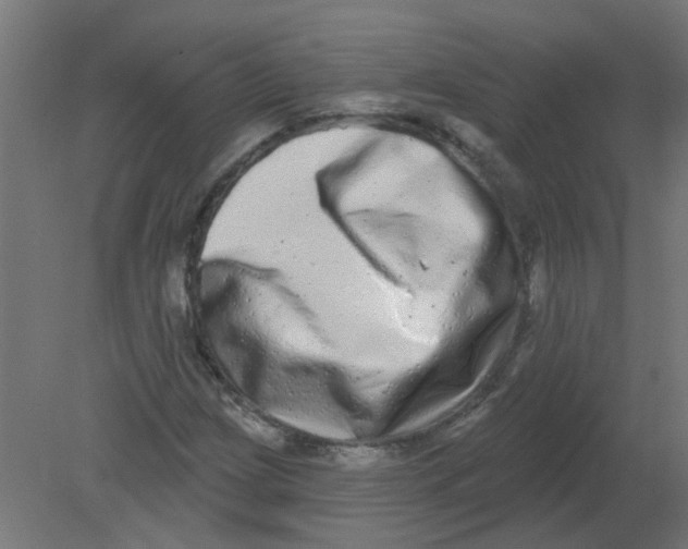 X0000080771209200701122046
