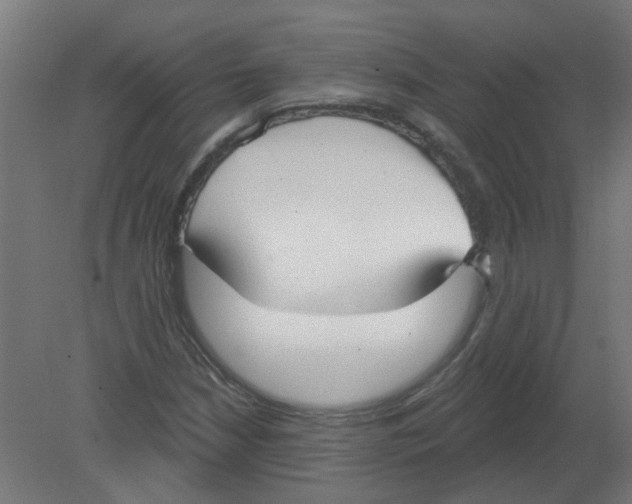 X0000080771210200701122046