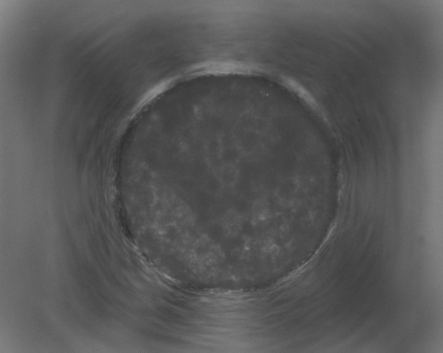 X0000080771213200701122046