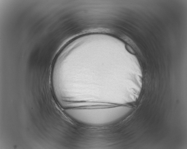 X0000080771228200701122047