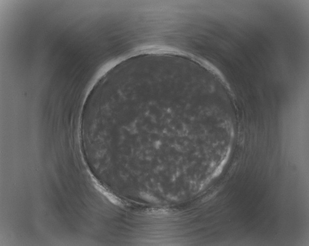 X0000080771231200701122047