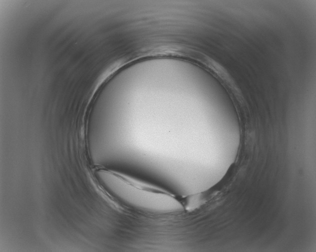 X0000080771234200701122047