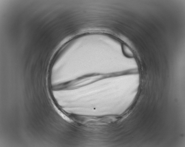 X0000080771237200701122047