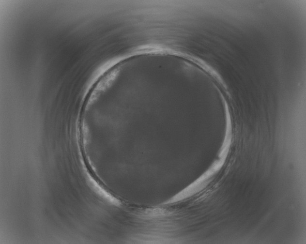 X0000080771239200701122047