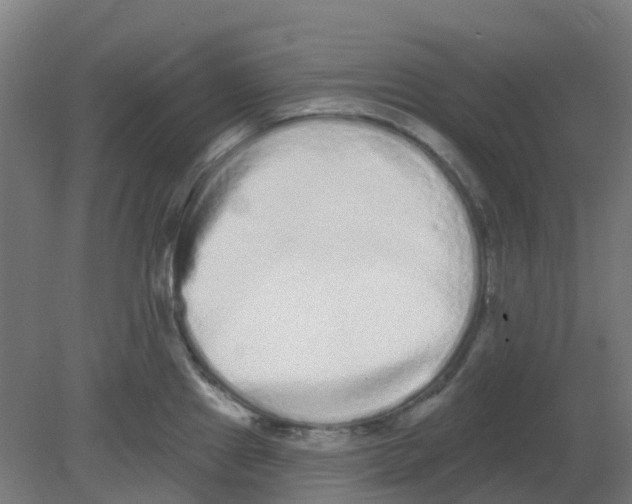 X0000080771241200701122047