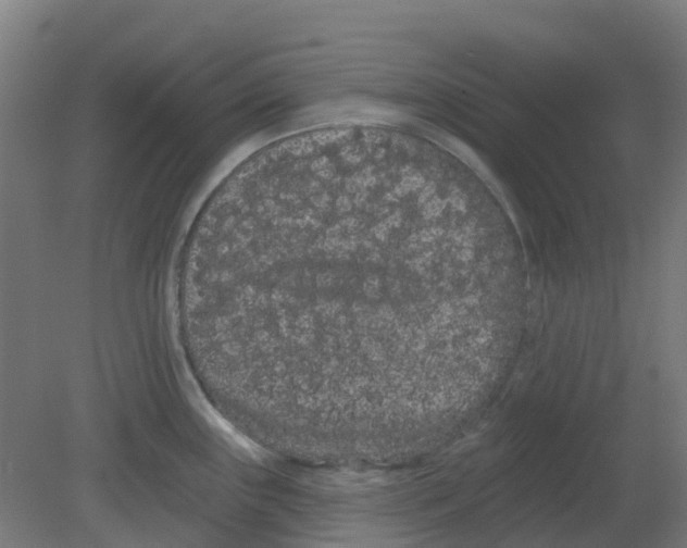X0000080771243200701122047