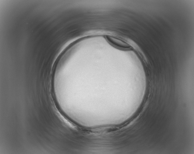 X0000080771244200701122047