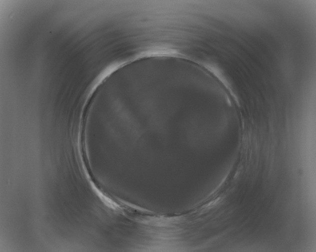 X0000080771245200701122047