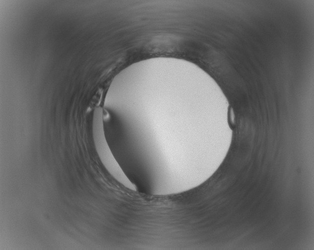X0000080771250200701122046