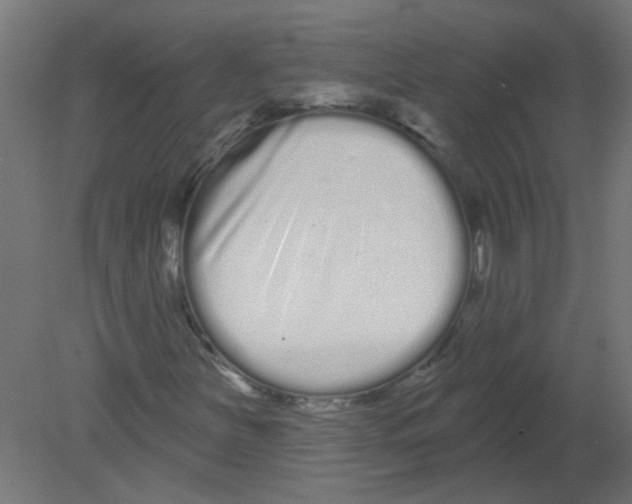 X0000080771251200701122046