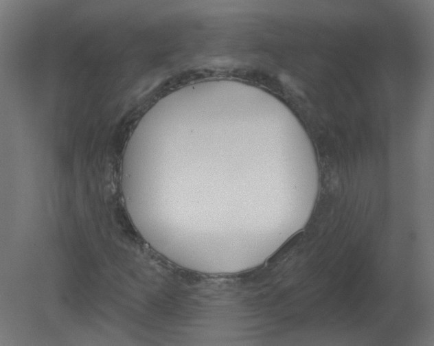 X0000080771253200701122046