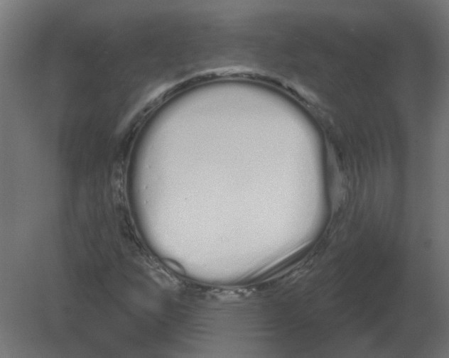 X0000080771255200701122046