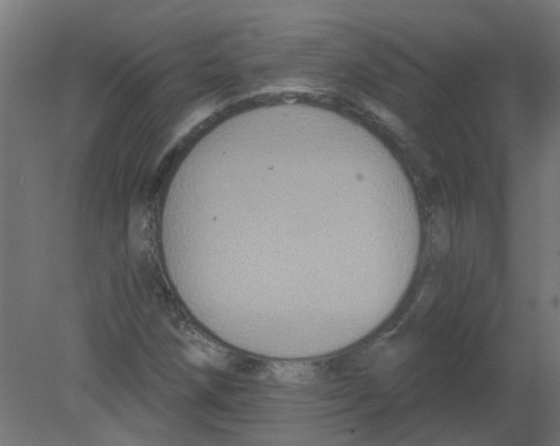 X0000080771258200701122046