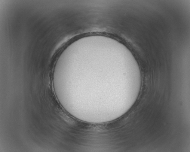 X0000080771262200701122046