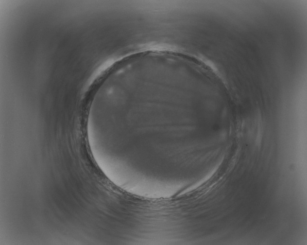 X0000080771263200701122046